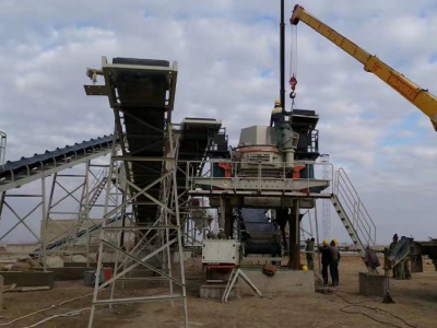 feeding and discharging rotary cone dryer 